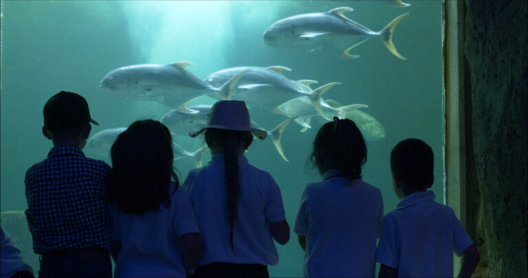 La Falla - 1080p - 105