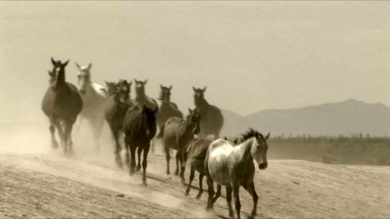 Cuates de Australia10