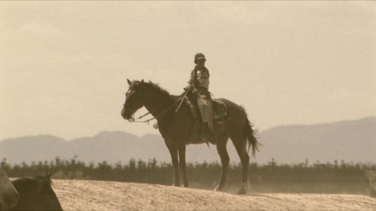 Cuates de Australia11