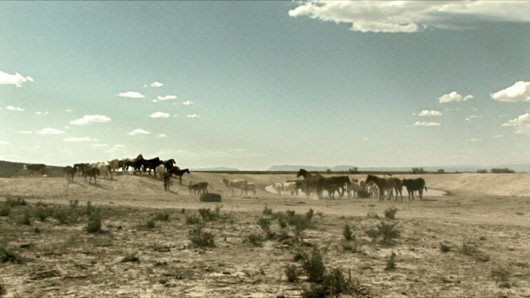 Cuates de Australia12